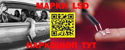 стаф Будённовск